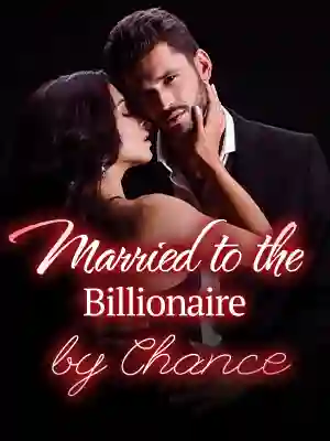 novel cover